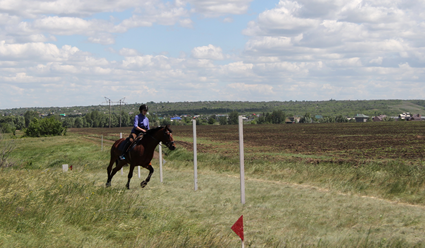 В Московской области пройдет Кубок Москвы по конному туризму