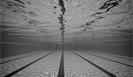Плавание. Чемпионат России 2024 по плаванию (50 м). 16 апреля (прямая видеотрансляция)