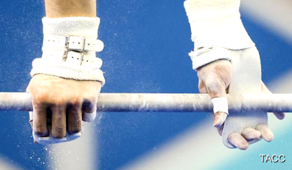 Тренер сборной Украины по спортивной гимнастике Вячеслав Лаврухин переехал в Белоруссию