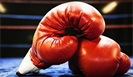 Международный олимпийский комитет запретил Международной ассоциации бокса проводить олимпийскую квалификацию