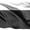 Ни один российский журналист, планировавший поехать в Болгарию на ЧЕ по художественной гимнастике, не получил визы