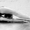 World Gymnastics принял решение допустить российских спортсменов до турниров с флагом и гимном