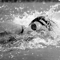 Определен состав сборной России на чемпионат Европы по плаванию в Париже