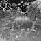 Водное поло 4х4. Чемпионат мира 2026. Женщины. Россия - Испания. 3 сентября (прямая видеотрансляция)