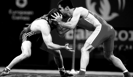 Российские спортсмены выиграли медальный зачет молодежного чемпионата мира по греко-римской борьбе