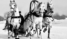 Официально зарегистрирована Всероссийская федерация русской тройки