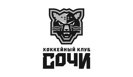 Евгений Сечин стал генеральным директором хоккейного клуба "Сочи"