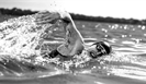 Спортсмены из Саратова установили мировой рекорд в восьмичасовом заплыве по Волге