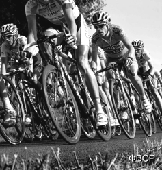 Выборы президента Федерации велосипедного спорта России пройдут 27 мая