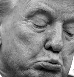 Женская сборная США по хоккею отказалась встречаться с Дональдом Трампом