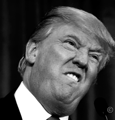Трамп попросил президента ФИФА Джанни Инфантино отменить удаление Балогана